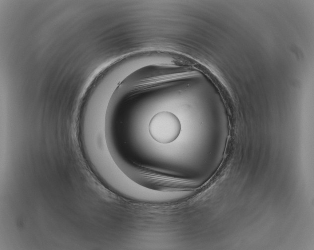 X0000113250832200910081317