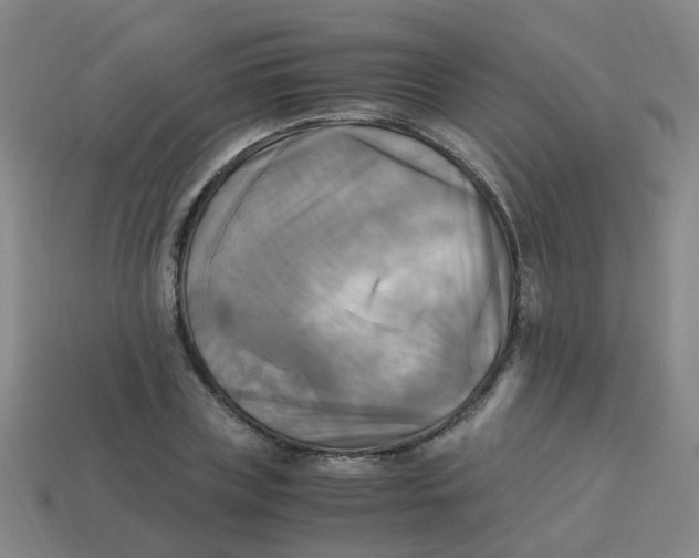 X0000113250835200910081317