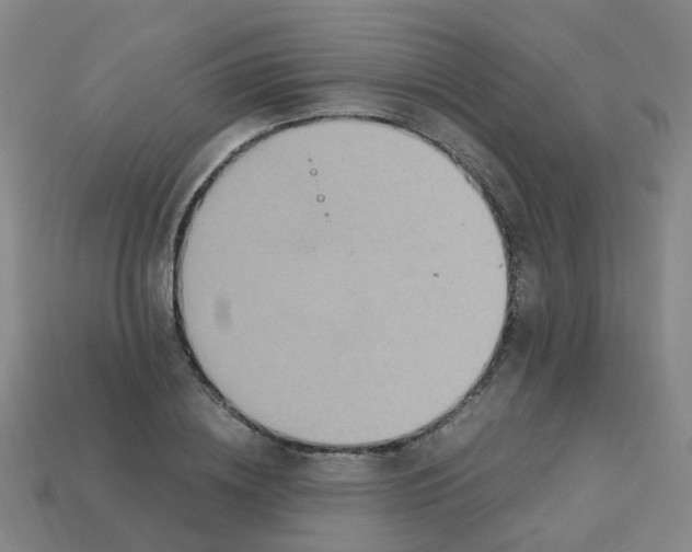 X0000113250836200910081317