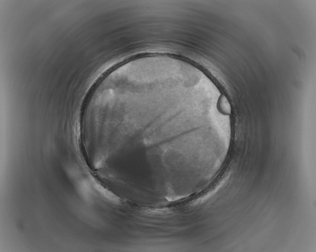 X0000113250837200910081317