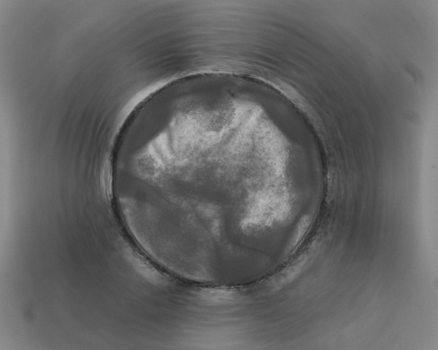 X0000113250838200910081317