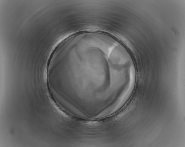 X0000113250839200910081317