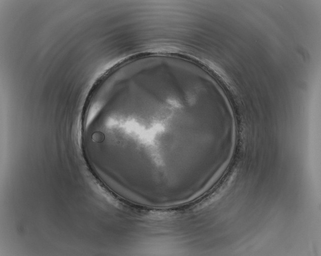 X0000113250840200910081317