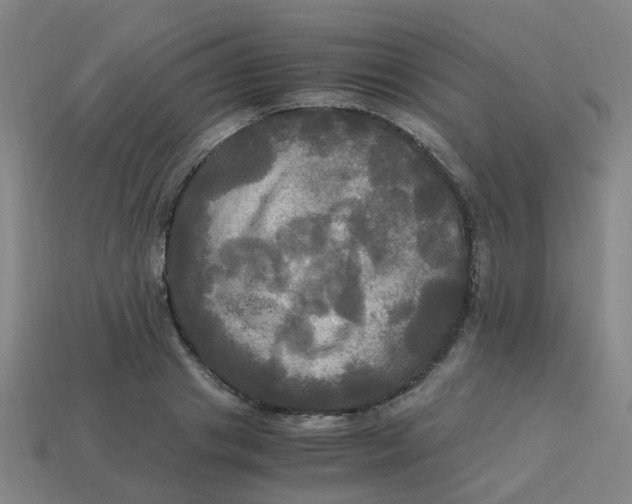 X0000113250841200910081317