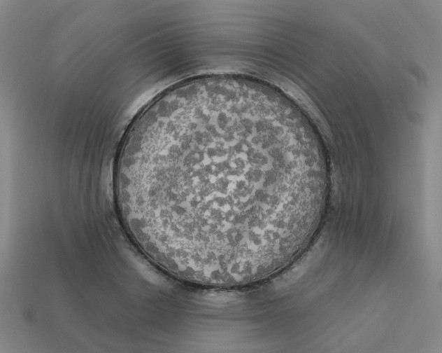 X0000113250842200910081317