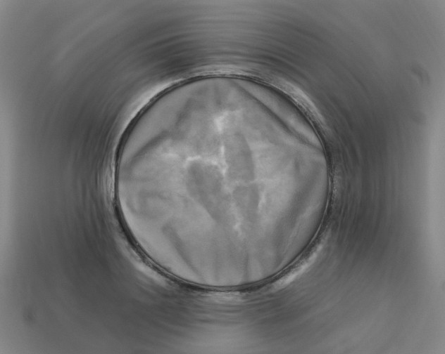 X0000113250844200910081317