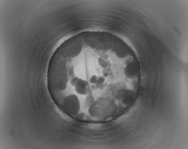 X0000113250845200910081317