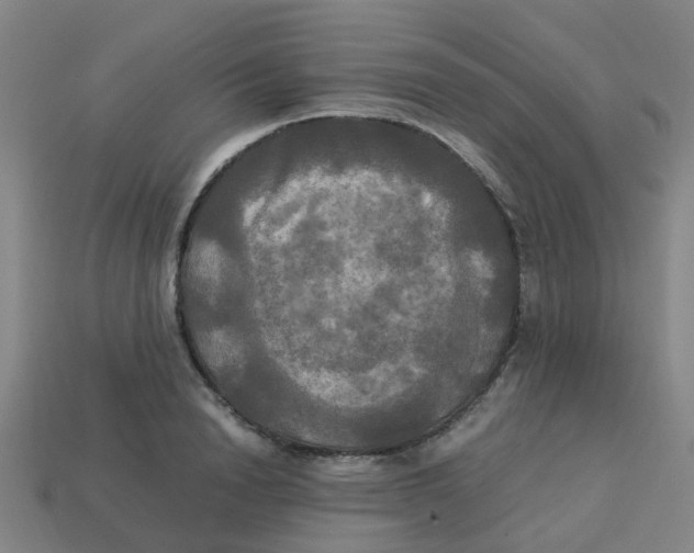 X0000113250846200910081317