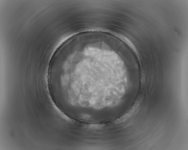 X0000113250847200910081317