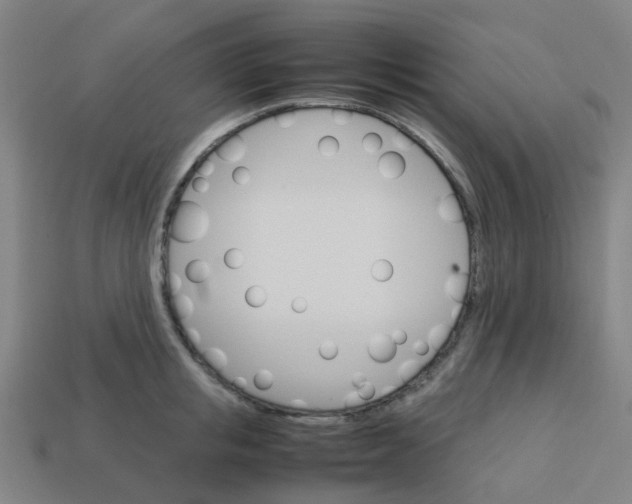 X0000113250853200910081317