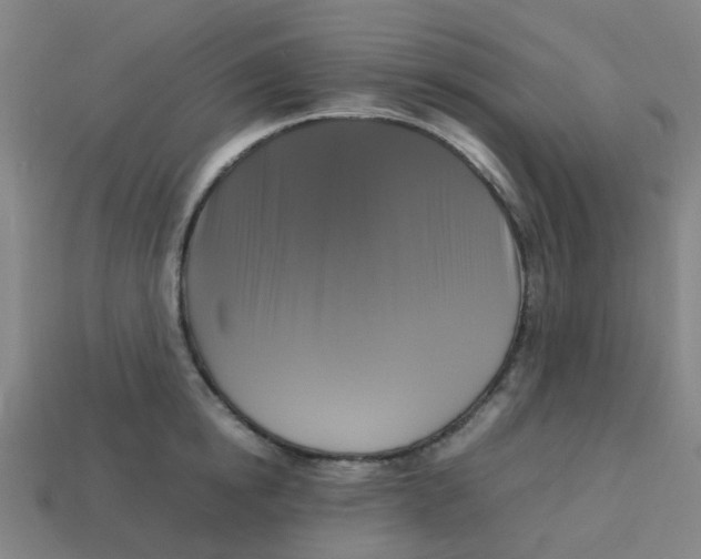 X0000113250854200910081317