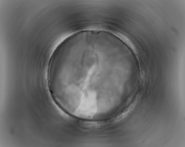 X0000113250855200910081317