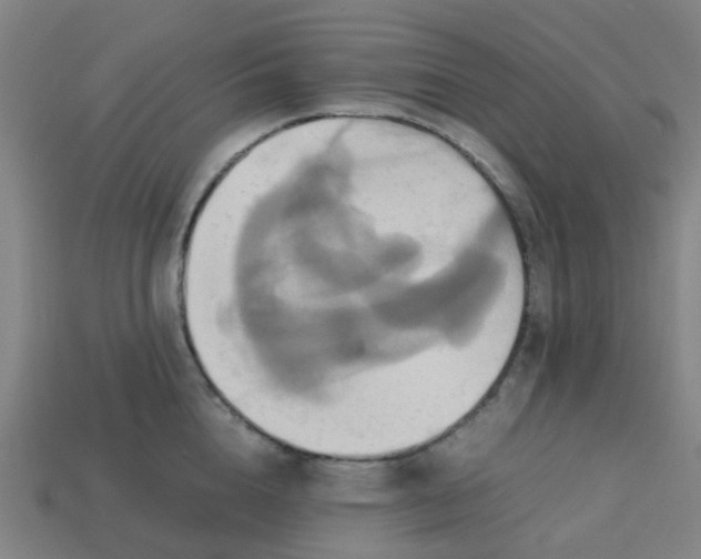 X0000113250856200910081317