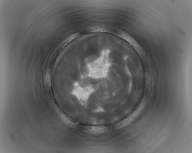 X0000113250857200910081317