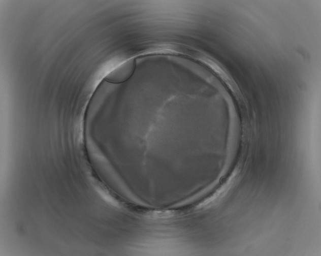 X0000113250858200910081317