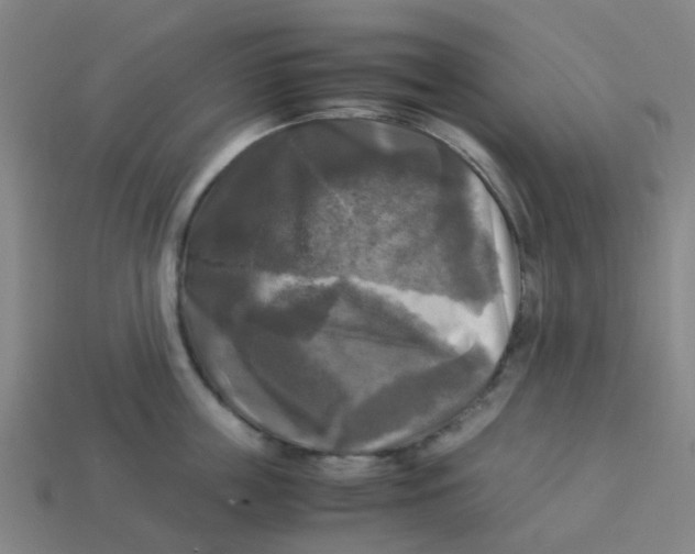 X0000113250859200910081317