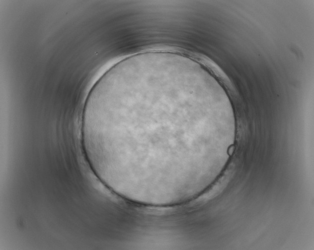 X0000113250860200910081317