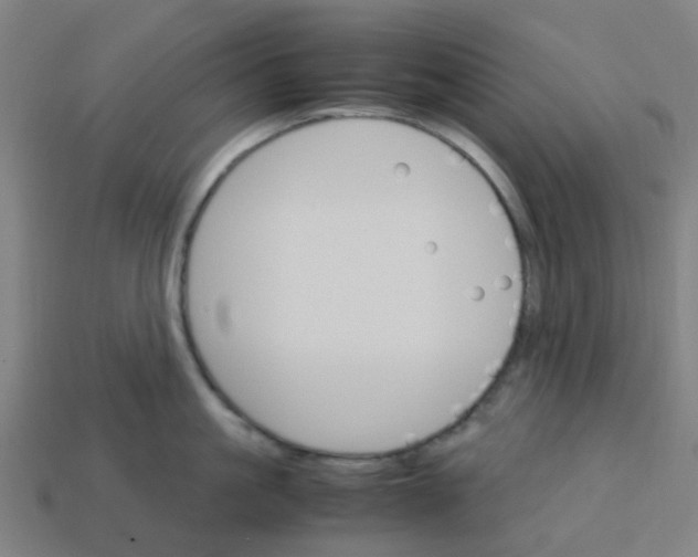 X0000113250861200910081317