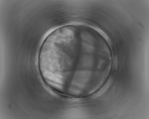 X0000113250862200910081317