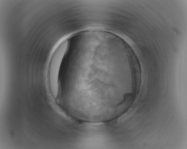 X0000113250864200910081317