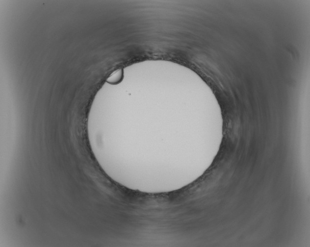 X0000113250865200910081316