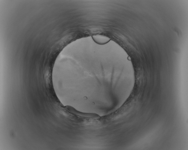 X0000113250866200910081316