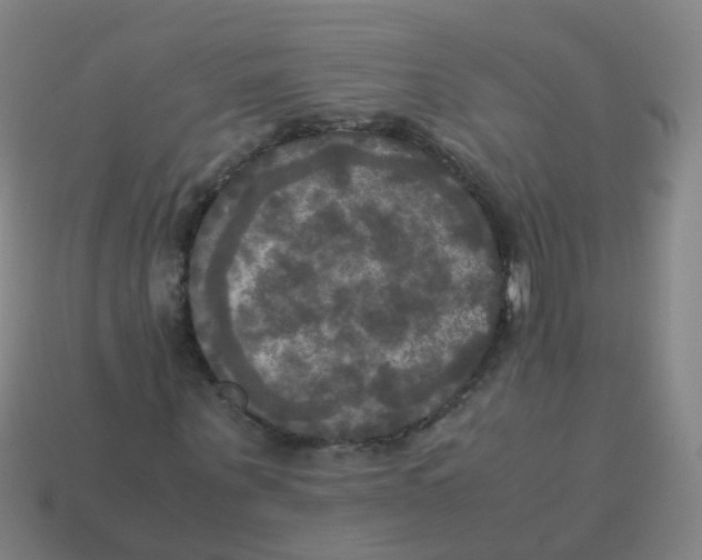 X0000113250867200910081316