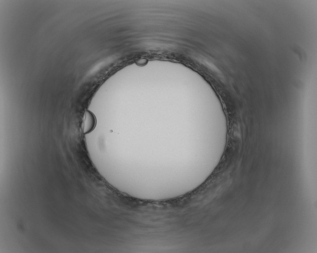 X0000113250869200910081316