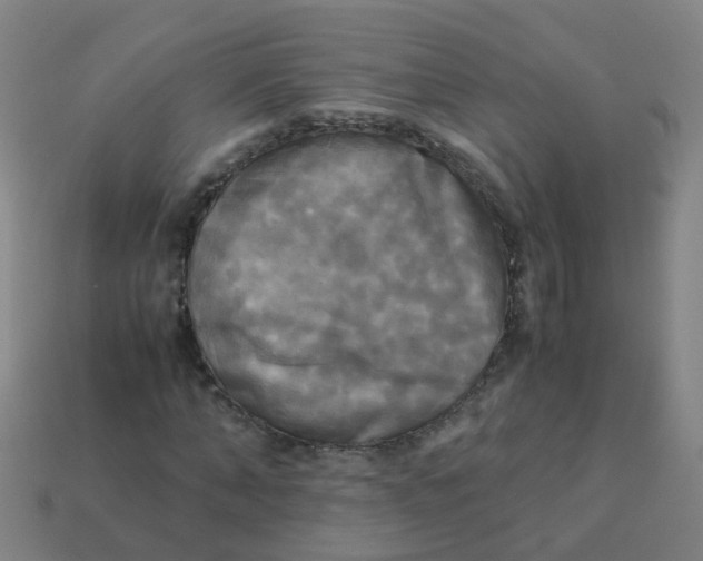 X0000113250870200910081316