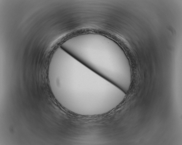 X0000113250872200910081316