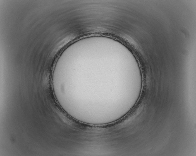 X0000113250873200910081316