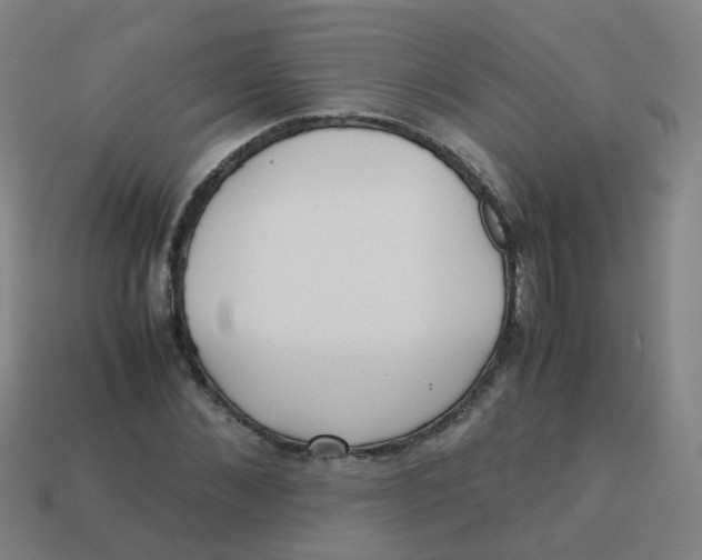 X0000113250876200910081316