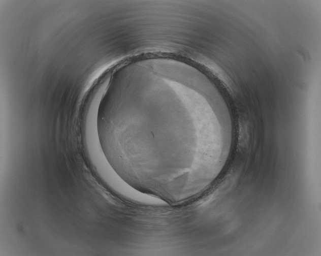 X0000113250878200910081316