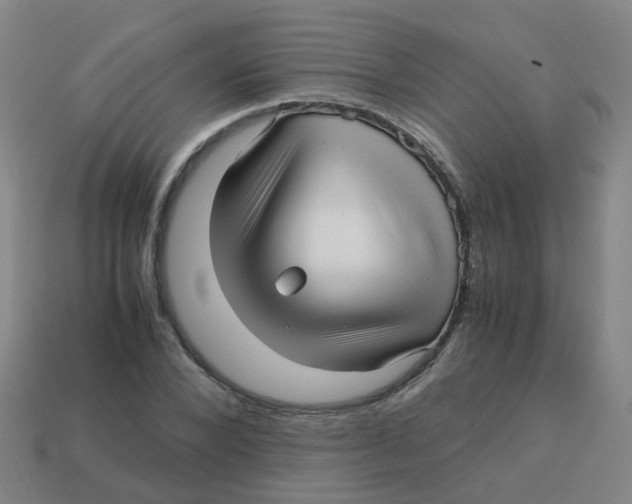 X0000113250880200910081316