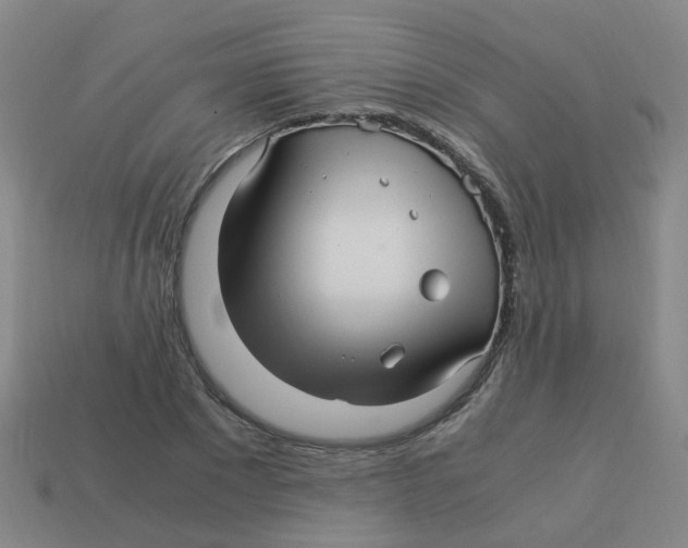 X0000113250881200910081316