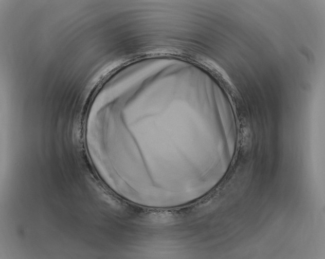 X0000113250882200910081316