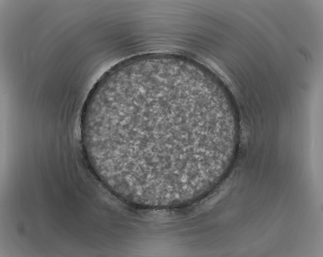 X0000113250883200910081316