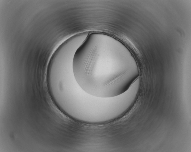 X0000113250884200910081316