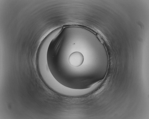 X0000113250885200910081316