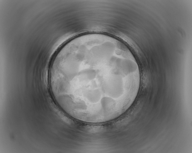 X0000113250886200910081316