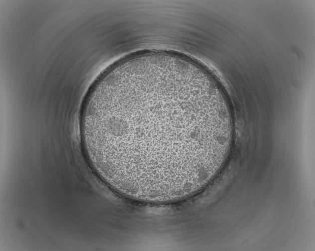 X0000113250887200910081316