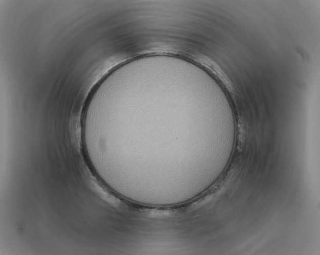 X0000113250890200910081316