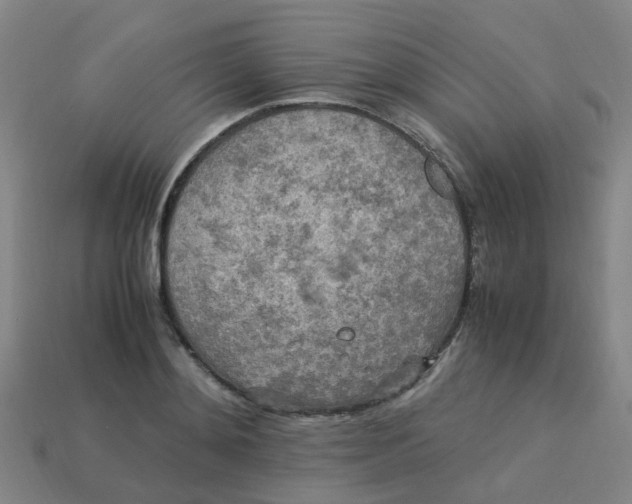 X0000113250892200910081316