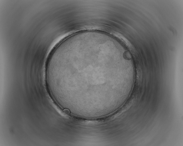 X0000113250894200910081316