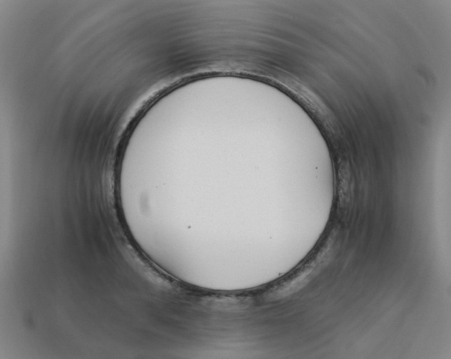 X0000113250896200910081316