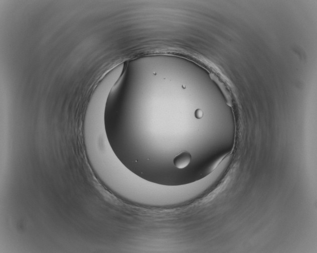 X0000113250897200910081316