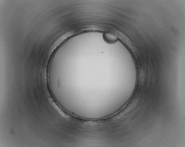 X0000113250898200910081316