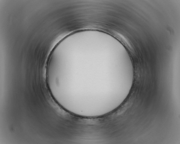 X0000113250900200910081316