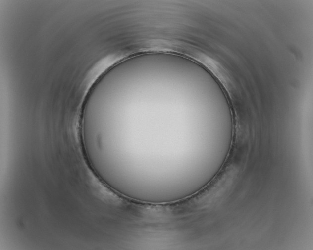 X0000113250901200910081316