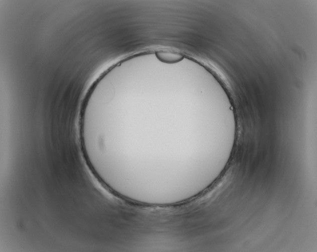 X0000113250902200910081316